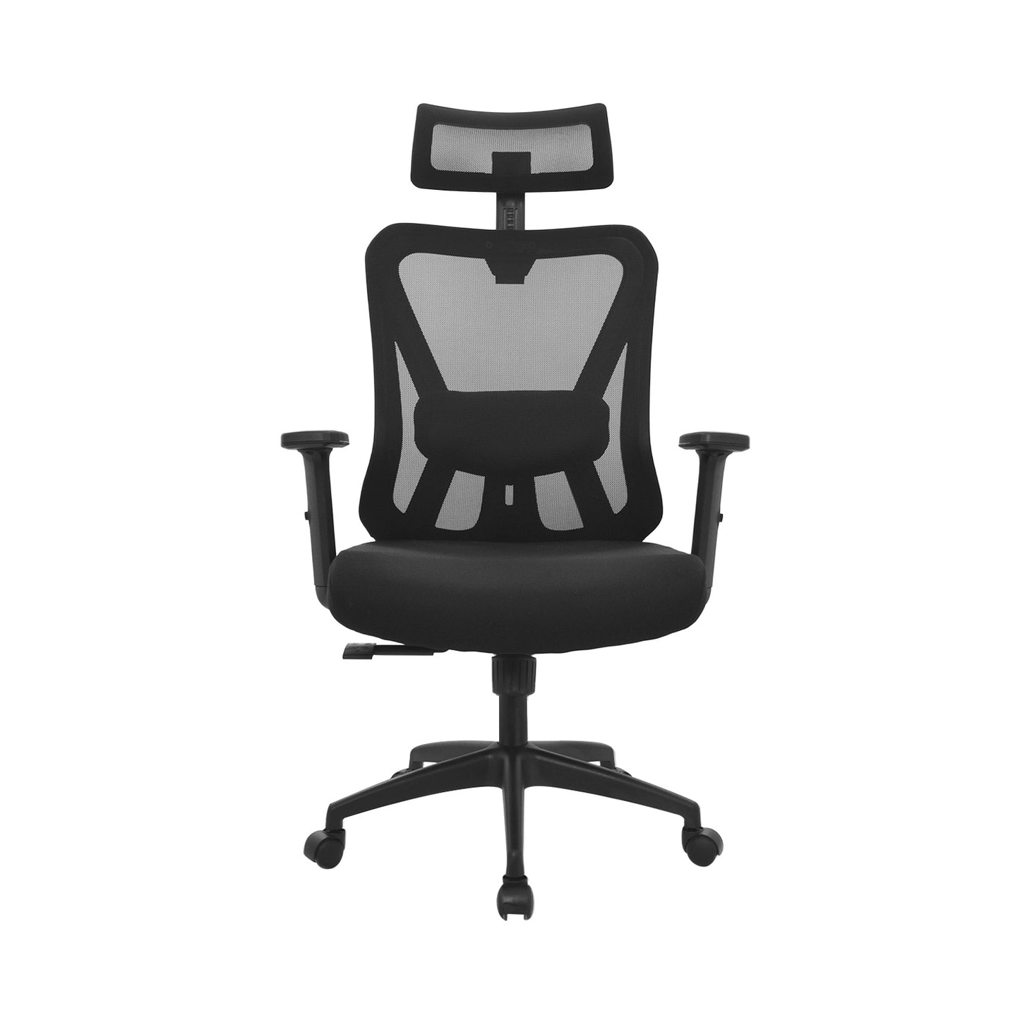 Silla Dolfin