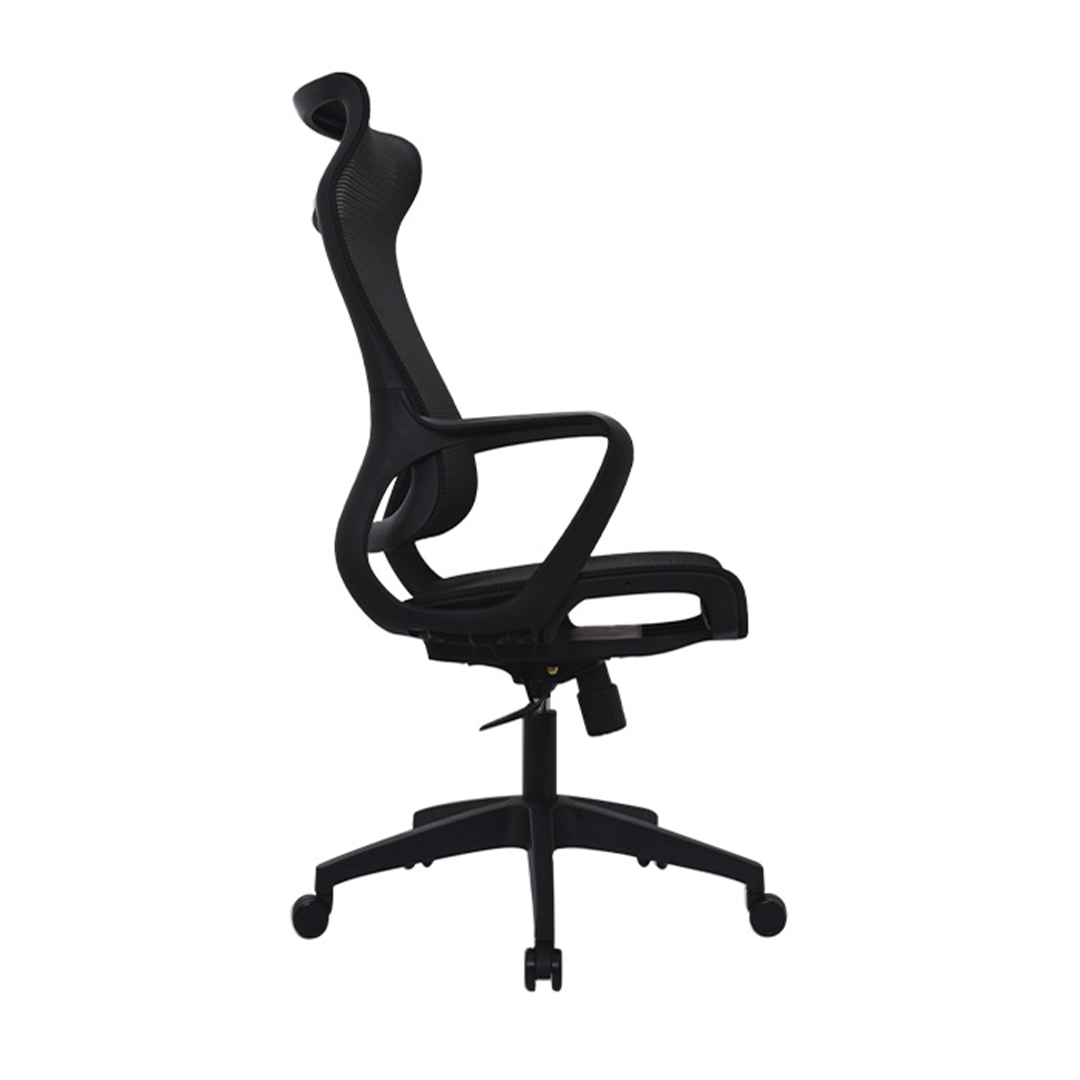 Silla Rigs Presidente