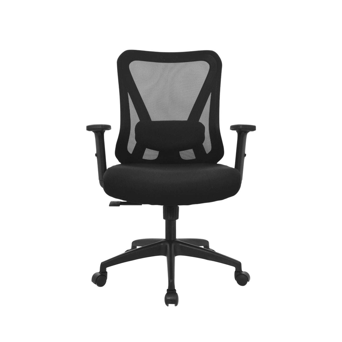 Silla Dolfin