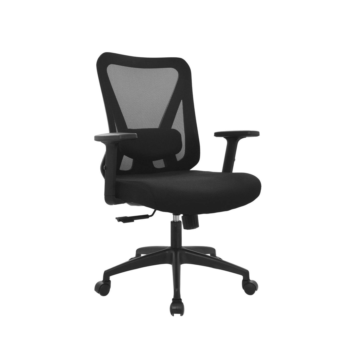 Silla Dolfin
