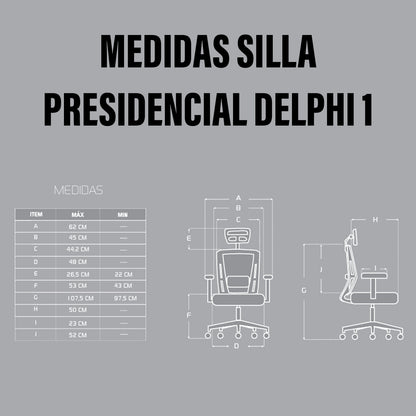 Silla presidencial delphi 1