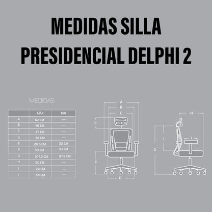 Silla presidencial delphi 2