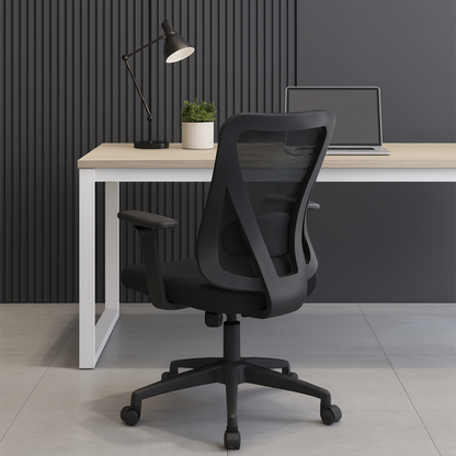 Silla Dolfin