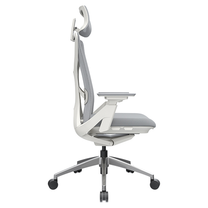 Silla Flex