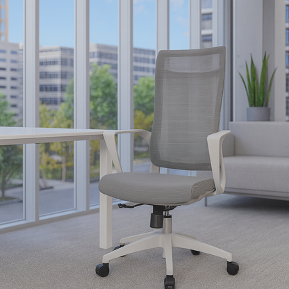 Silla Rigs Presidente
