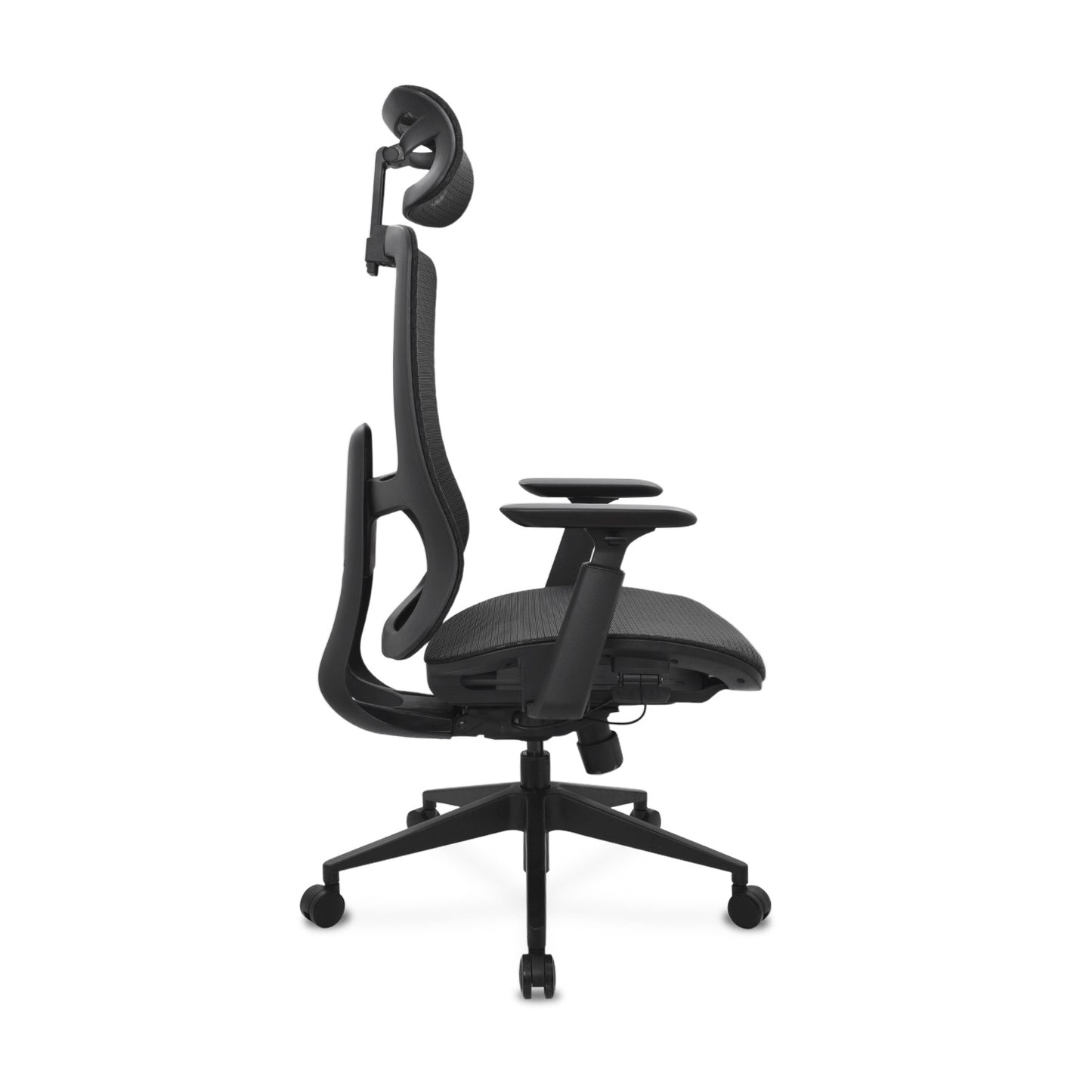 Silla Sun